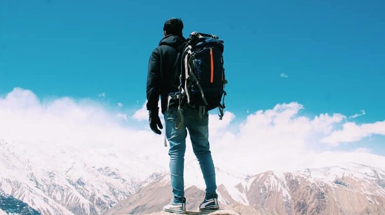 Little world among the stalks